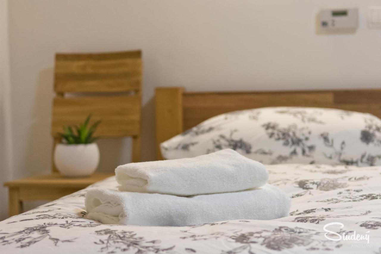 Apartmany Studeny Kunratice  Екстериор снимка